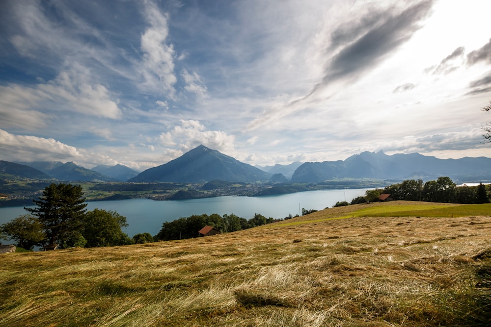 a grassy area with a body of water in the background