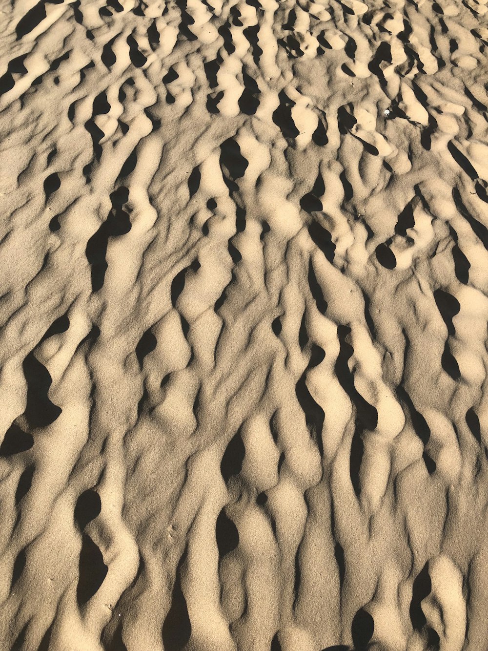 a close-up of a rock