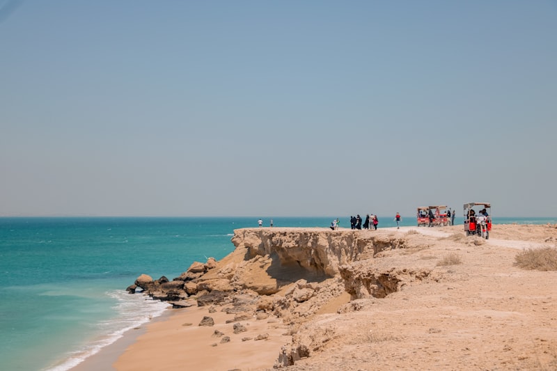 a group of people on a beach