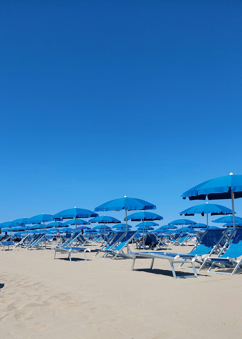 sedie e ombrelloni su una spiaggia