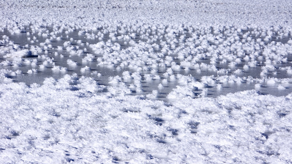 a large group of snow covered ground