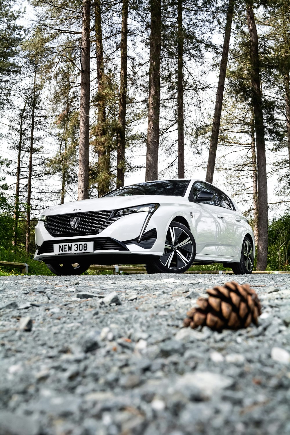 a white car parked in a wooded area