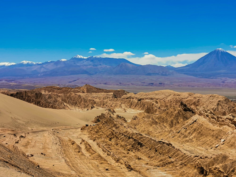Un paysage désertique avec des montagnes en arrière-plan