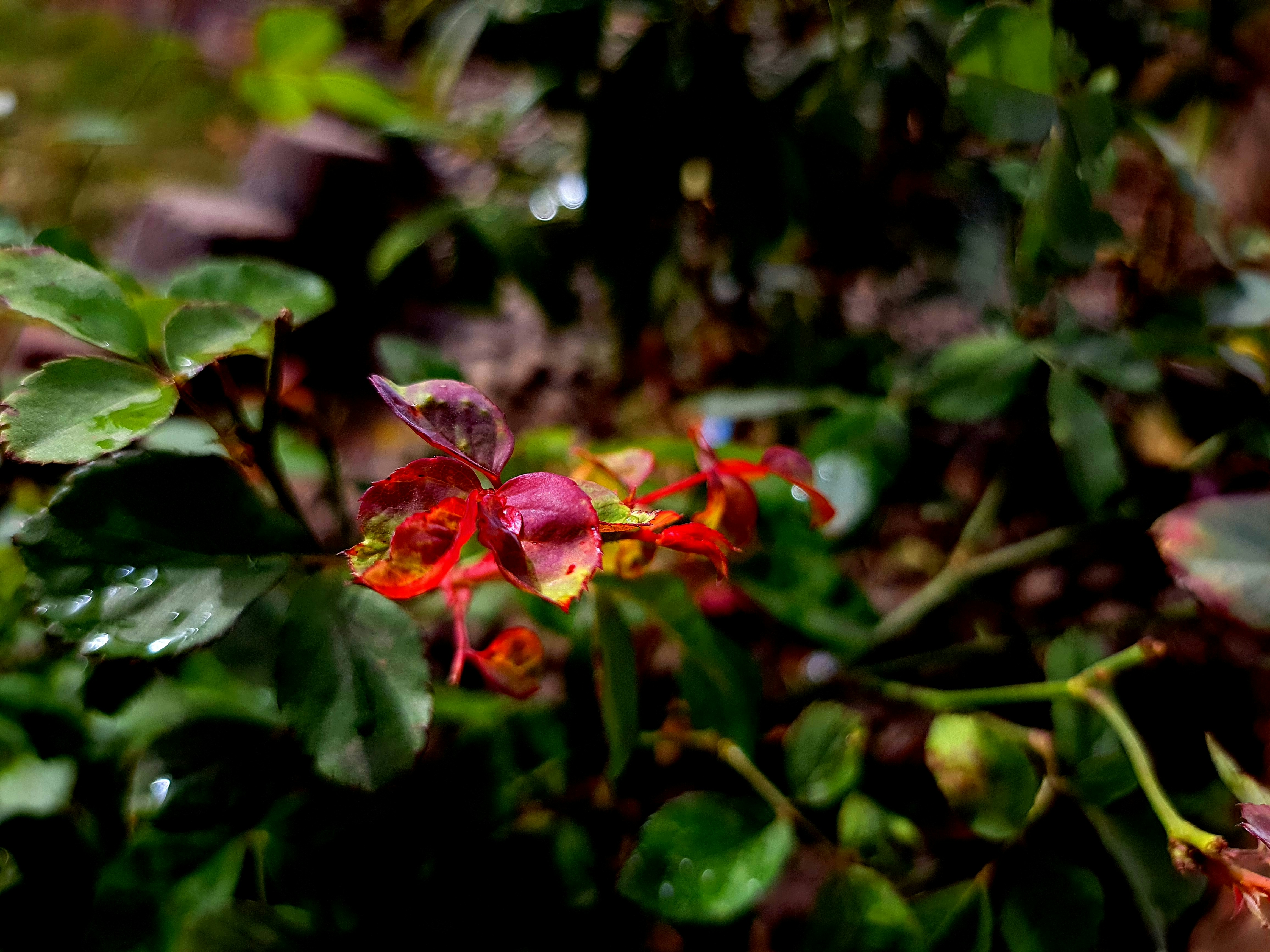 Photo by stavanmacwan9815