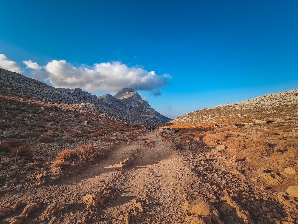 a dirt road in the mountains