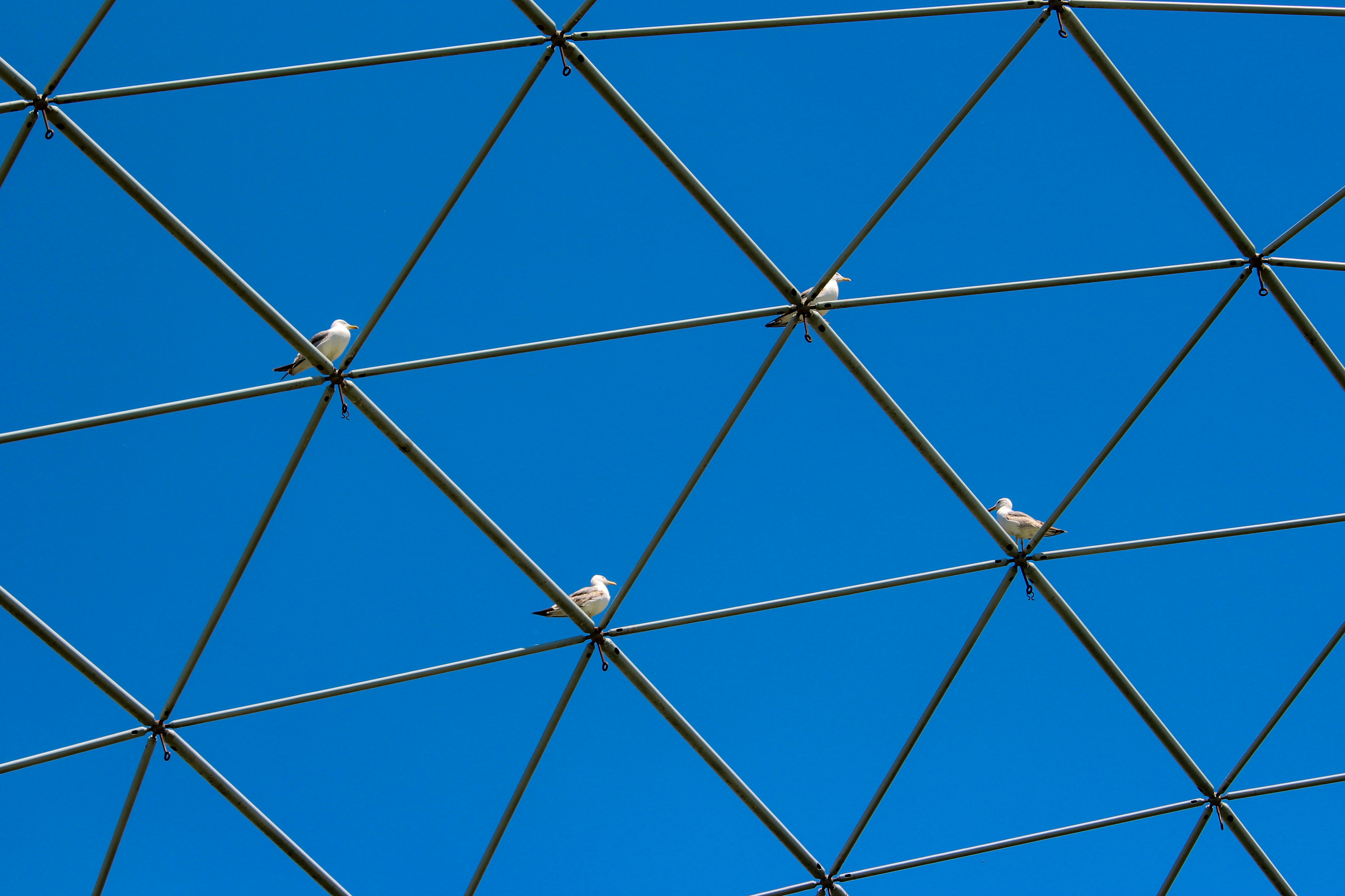 Photo by gokhankeskin