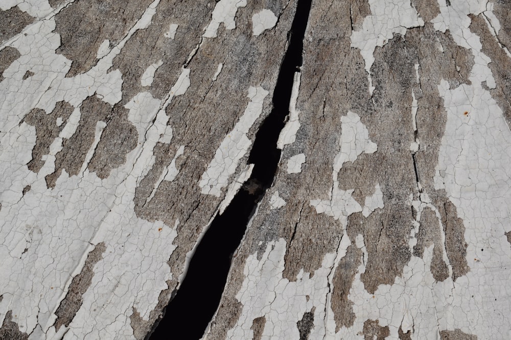 a close-up of a cracked rock