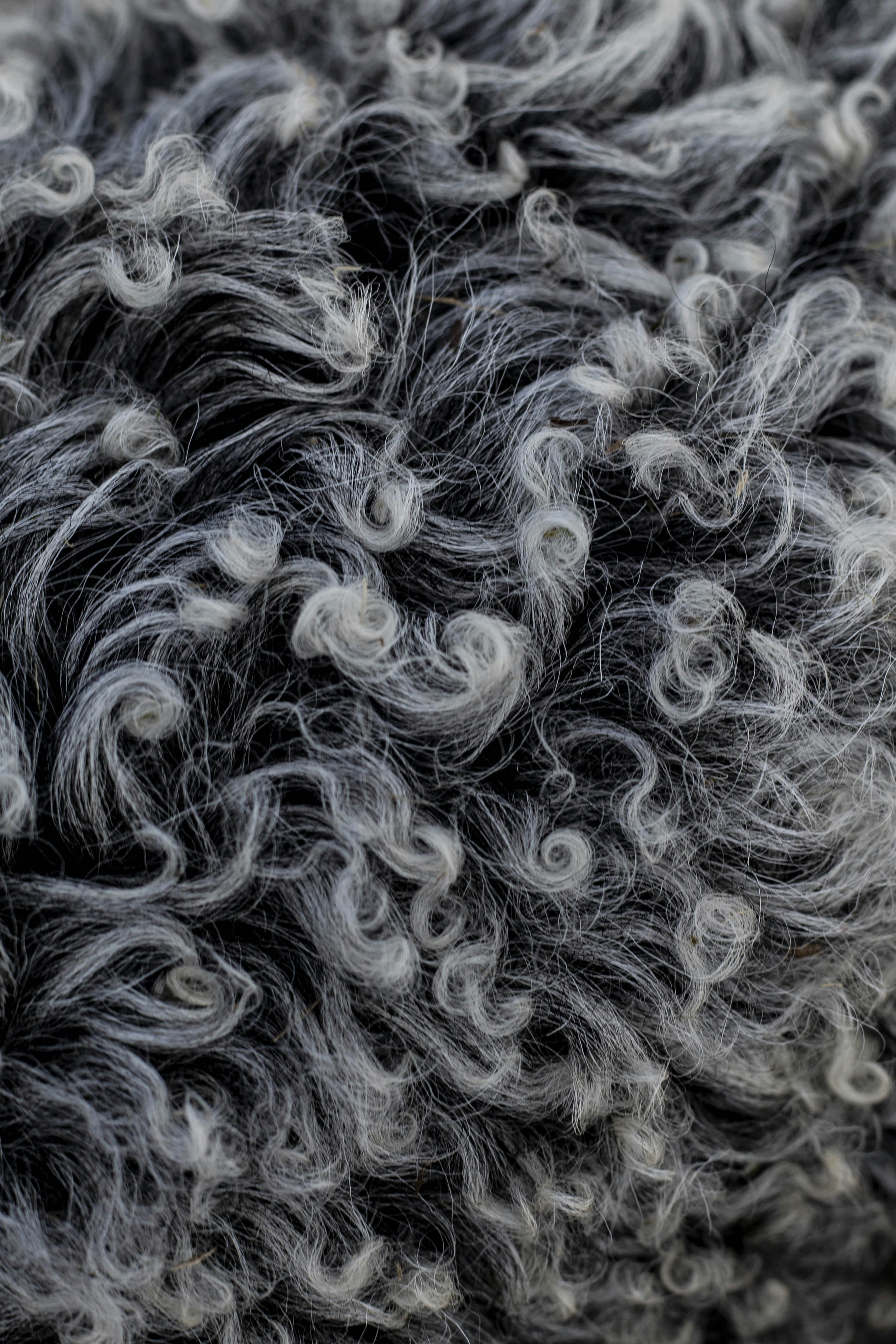 Premium Wools