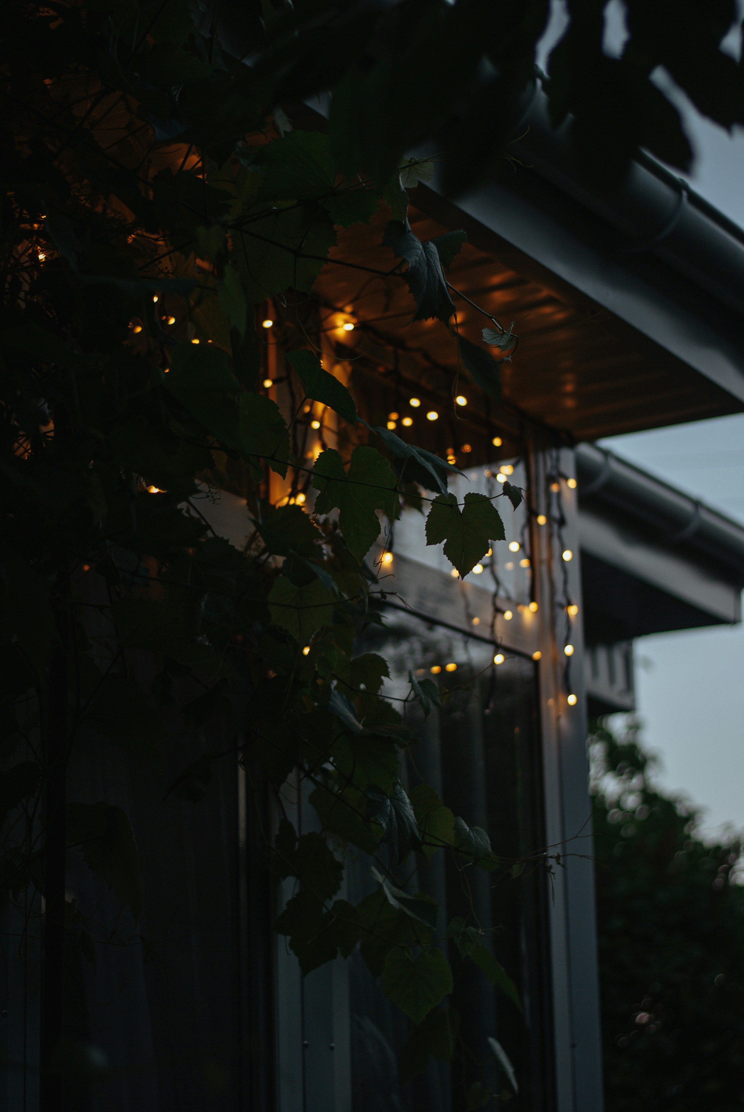 Photo by hannanovytska