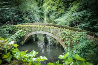 a stone bridge over a river