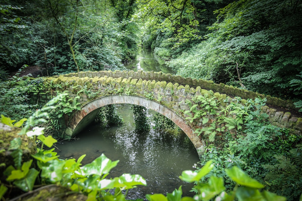 a stone bridge over a river