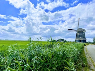 a windmill in a field