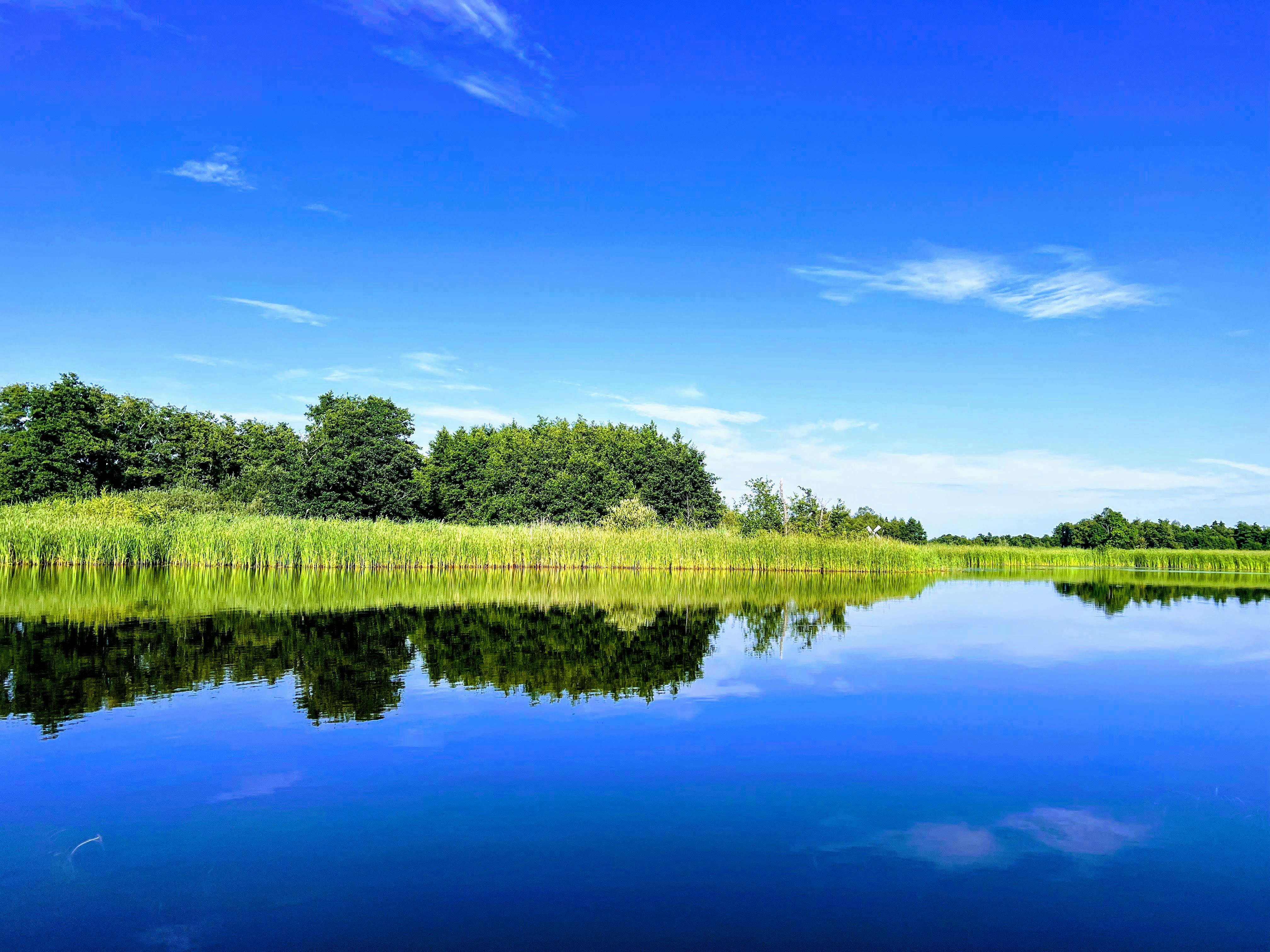 Photo by amirdeljouyi