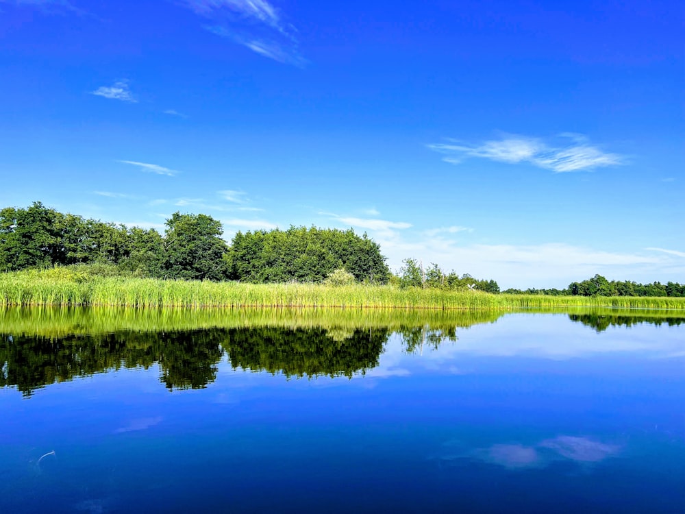 a body of water with grass and trees around it