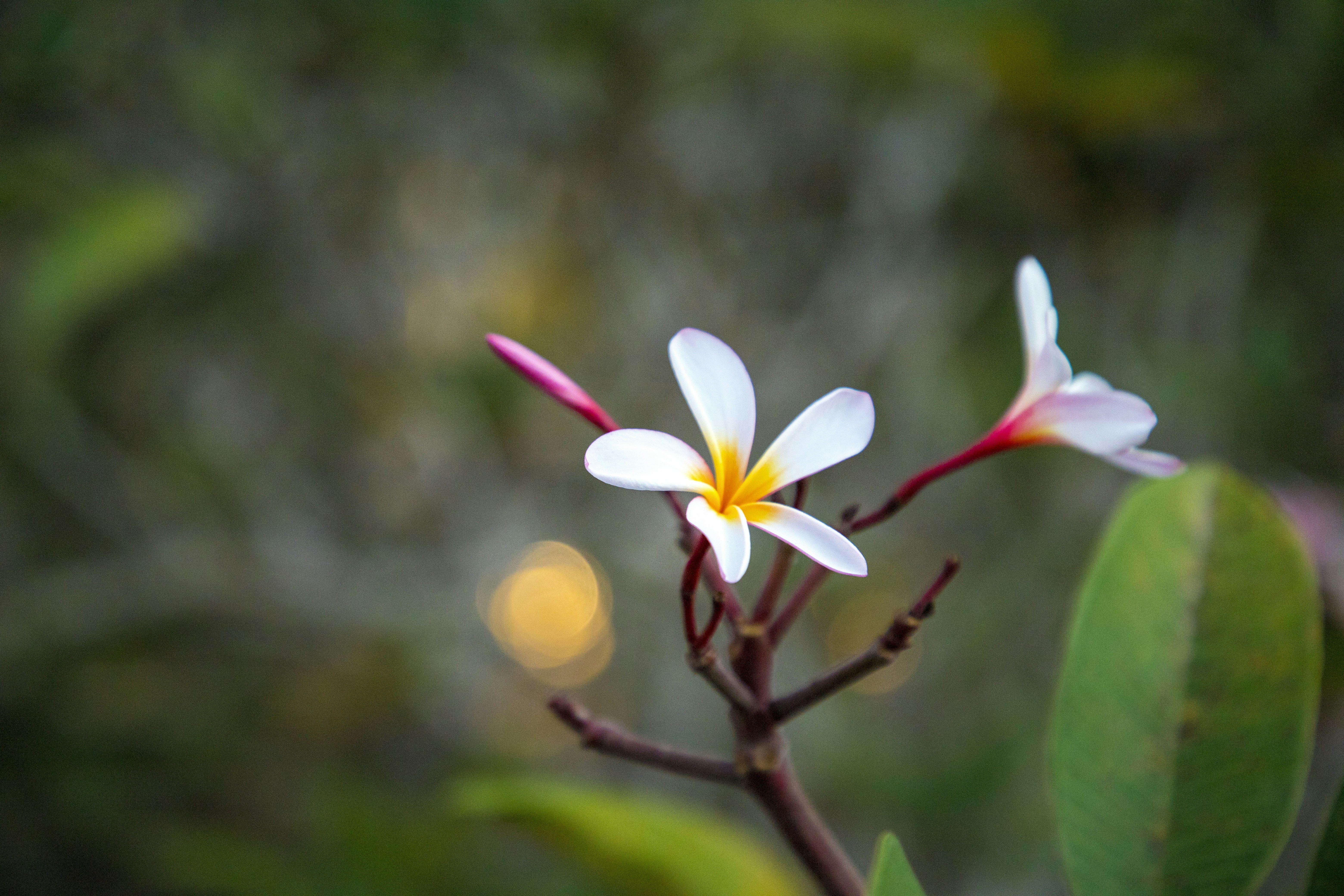 Photo by bahr_splash