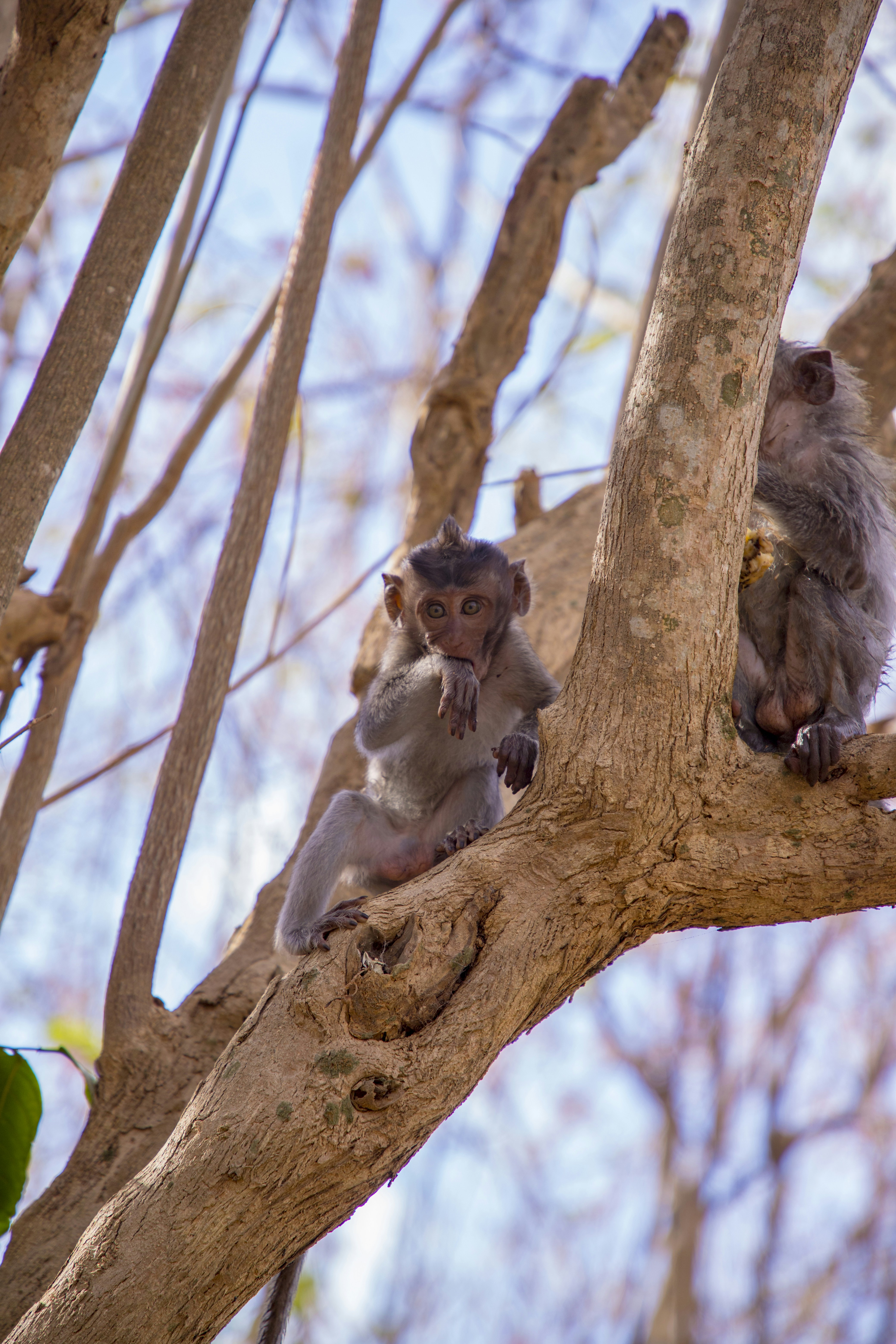 Photo by bahr_splash