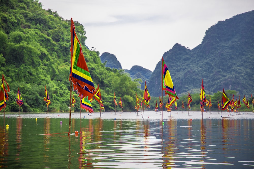 a group of colorful flags on a lake