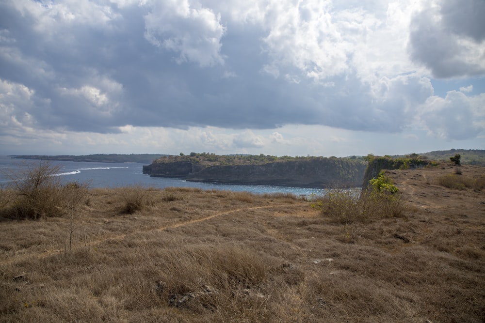 a grassy area with a body of water in the background