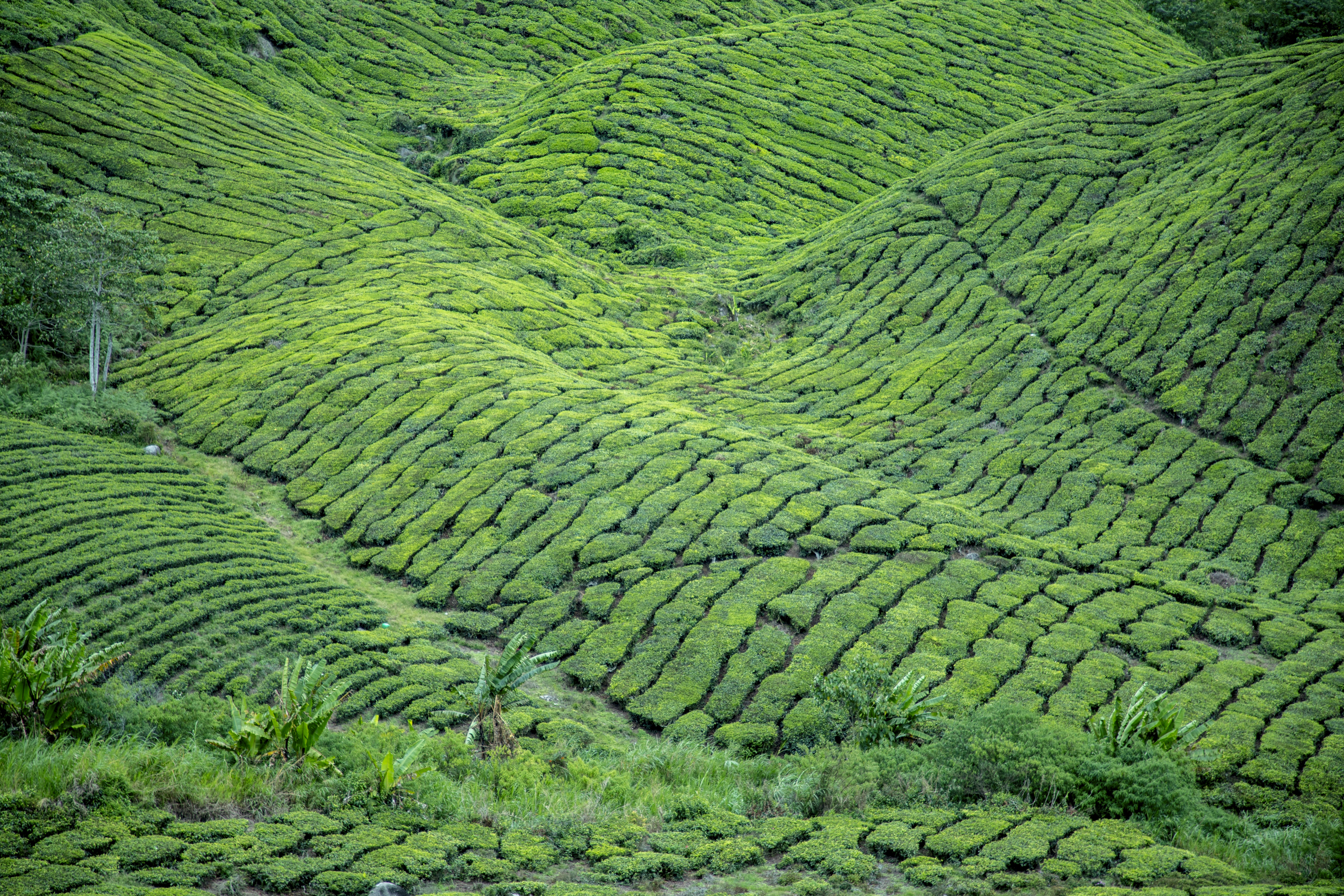 Photo by bahr_splash