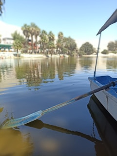 A boat paddle rests in the calm water of a lake. In the background, there are blurred images of palm trees and a shoreline with some structures. The scene is serene with gentle reflections visible on the water surface.