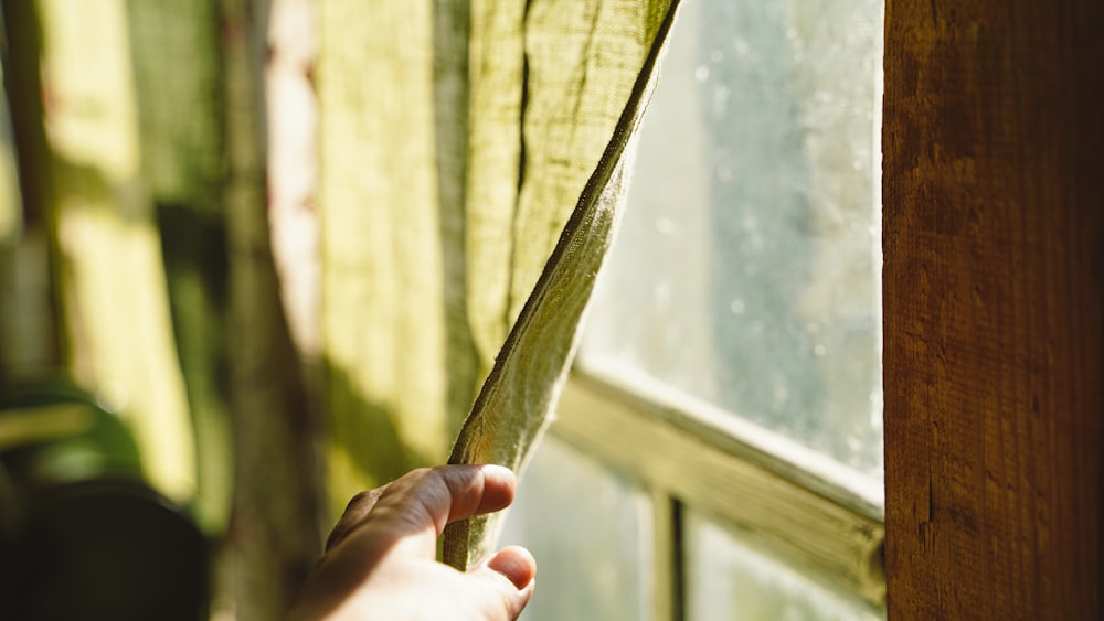 a hand holding a leaf