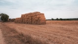 Harvested crops neatly stacked ready for transport.