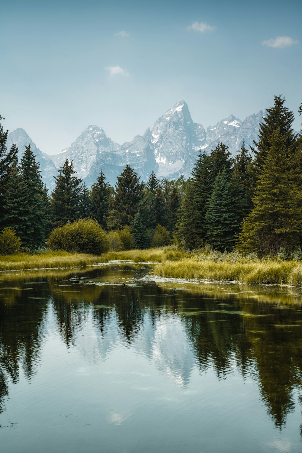 a lake with trees and mountains in the background