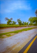 A rural landscape with a paved road running alongside a dirt path and lush greenery. Trees with dense foliage line the horizon under a bright blue sky, creating a serene and tranquil setting.