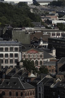 Urban landscape featuring a dense array of older brick and modern buildings with a mix of architectural styles. Prominent among them is a red and white building with the word 'EDEN' on the facade. In the background, there is a lush green forested area and a highway visible, indicating a blend of nature and urban life.