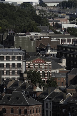 Urban landscape featuring a dense array of older brick and modern buildings with a mix of architectural styles. Prominent among them is a red and white building with the word 'EDEN' on the facade. In the background, there is a lush green forested area and a highway visible, indicating a blend of nature and urban life.