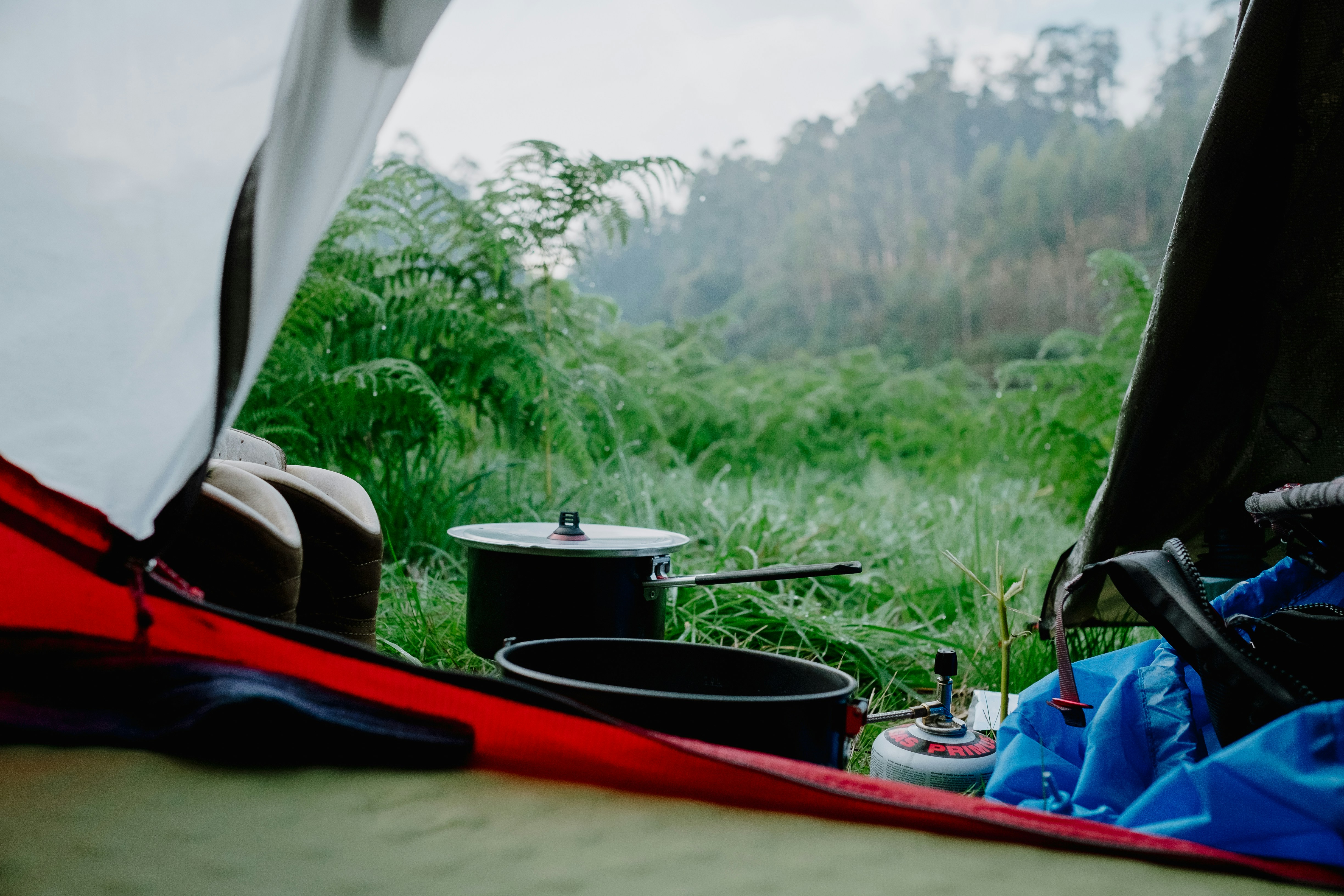 photo-1659349686128-f9b69ecf5298?ixid=M3