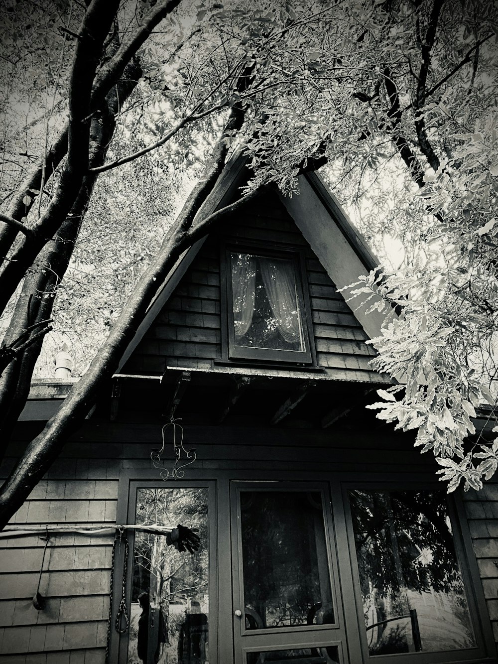 a tree with a house in the background