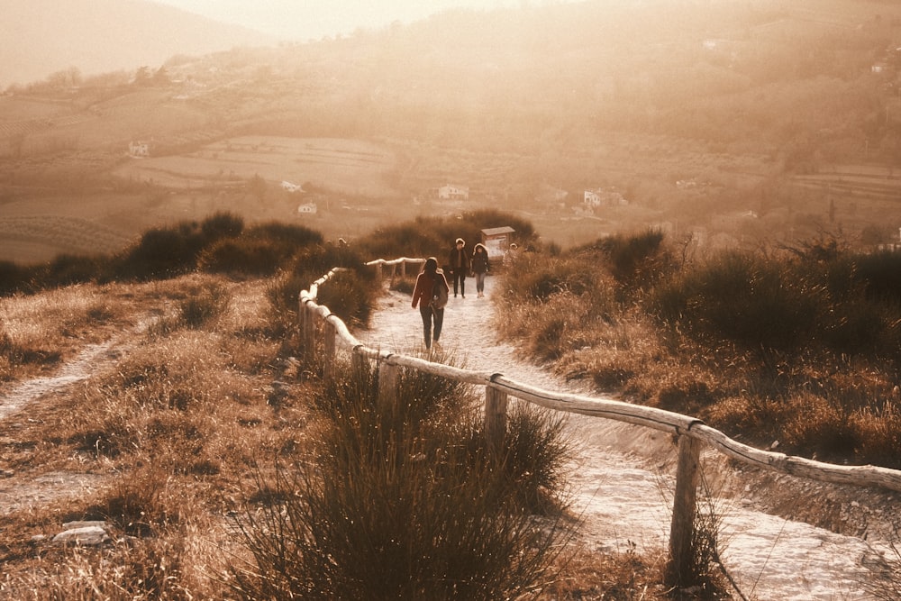 a group of people walking on a path in a foggy field