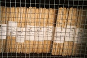 Stacks of organized brown files are secured behind a wire mesh. Each file is labeled with handwritten tags displaying the numbers 1956 and codes like 343 and 352. The scene reflects a methodical storage system, possibly for records or documents.