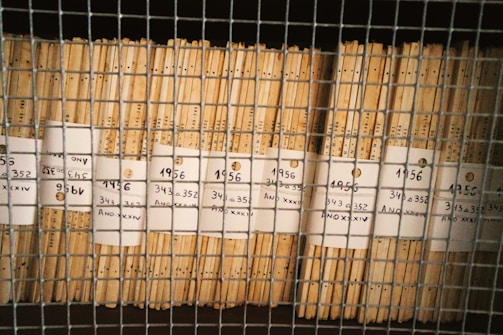 Stacks of organized brown files are secured behind a wire mesh. Each file is labeled with handwritten tags displaying the numbers 1956 and codes like 343 and 352. The scene reflects a methodical storage system, possibly for records or documents.
