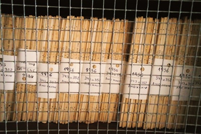 Stacks of organized brown files are secured behind a wire mesh. Each file is labeled with handwritten tags displaying the numbers 1956 and codes like 343 and 352. The scene reflects a methodical storage system, possibly for records or documents.