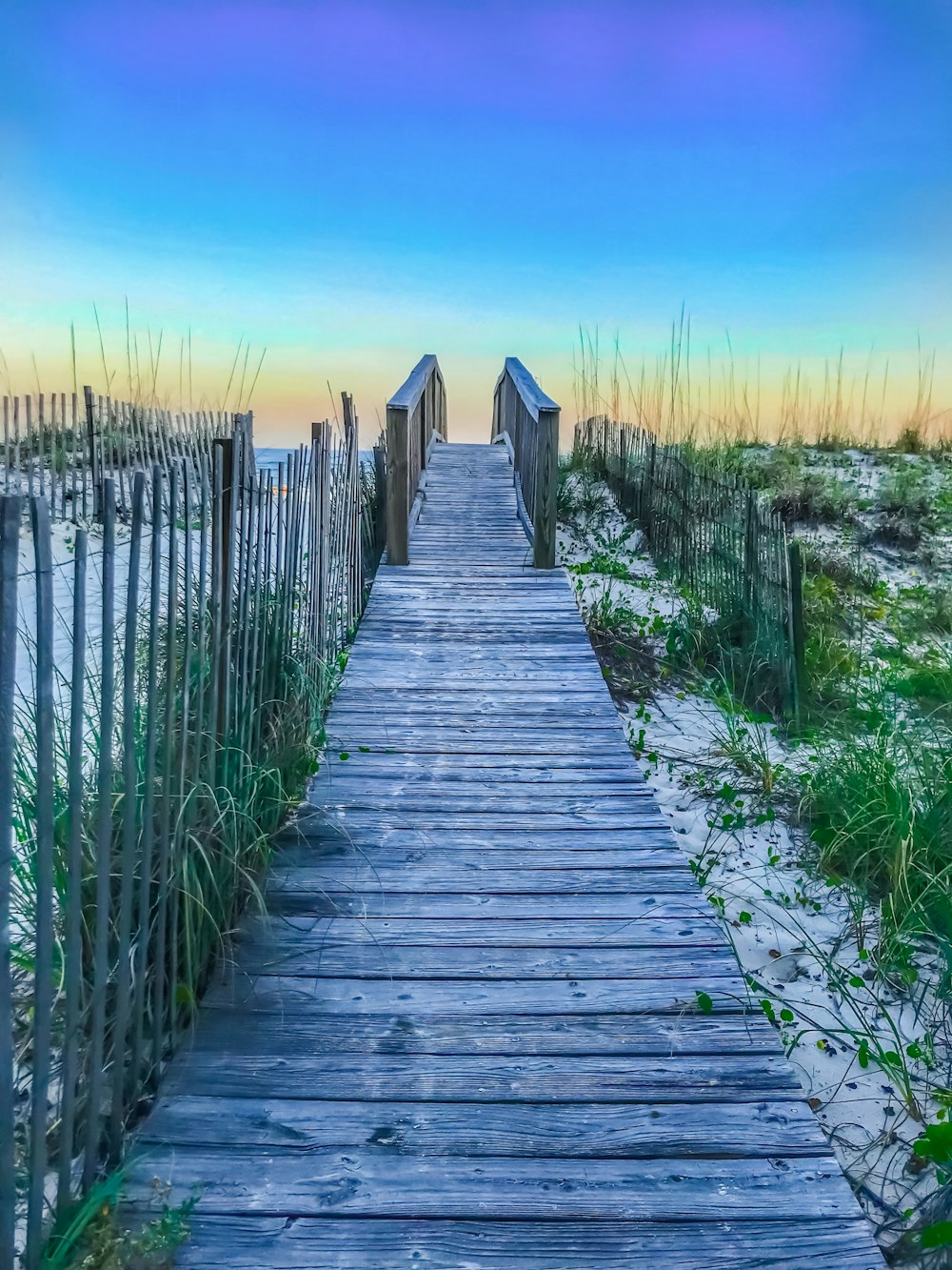 a wooden walkway through a field of tall grass