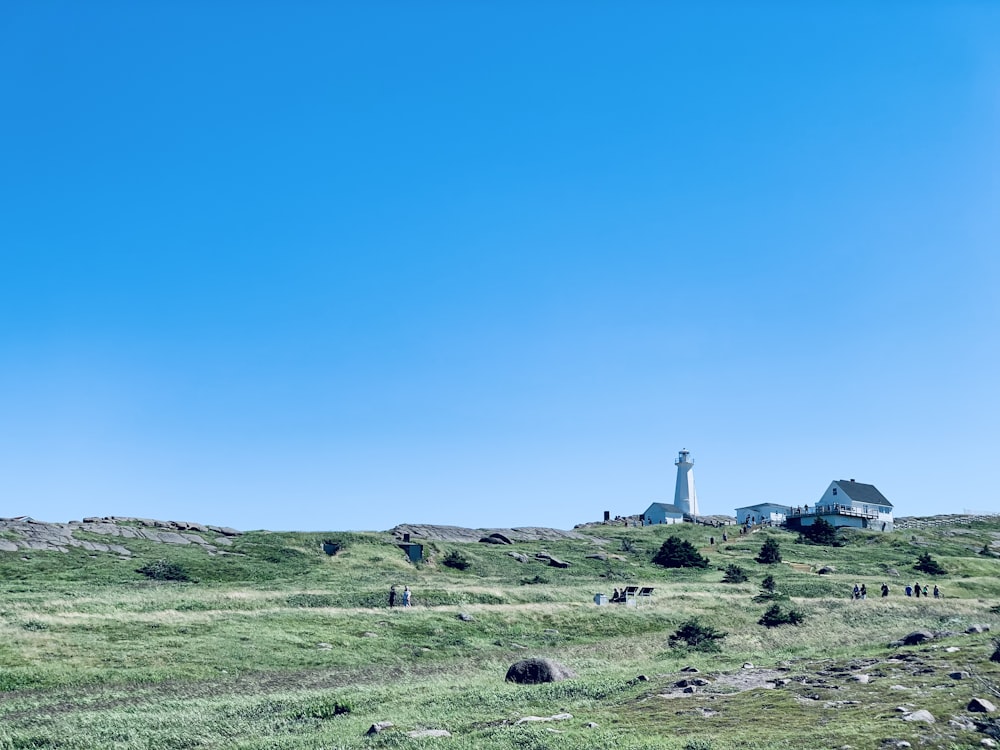 a grassy field with buildings in the distance