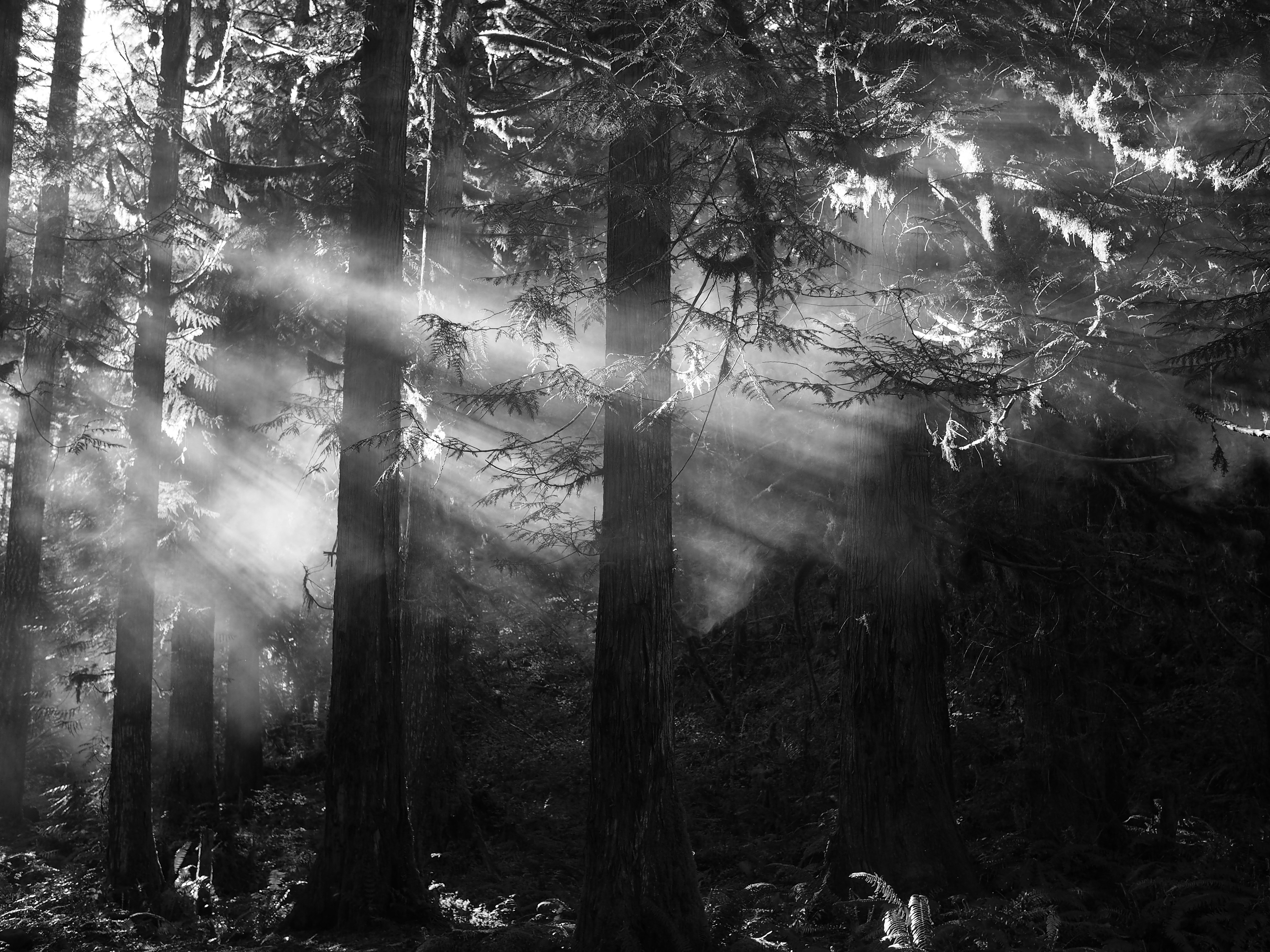 Photo by griffinquinn