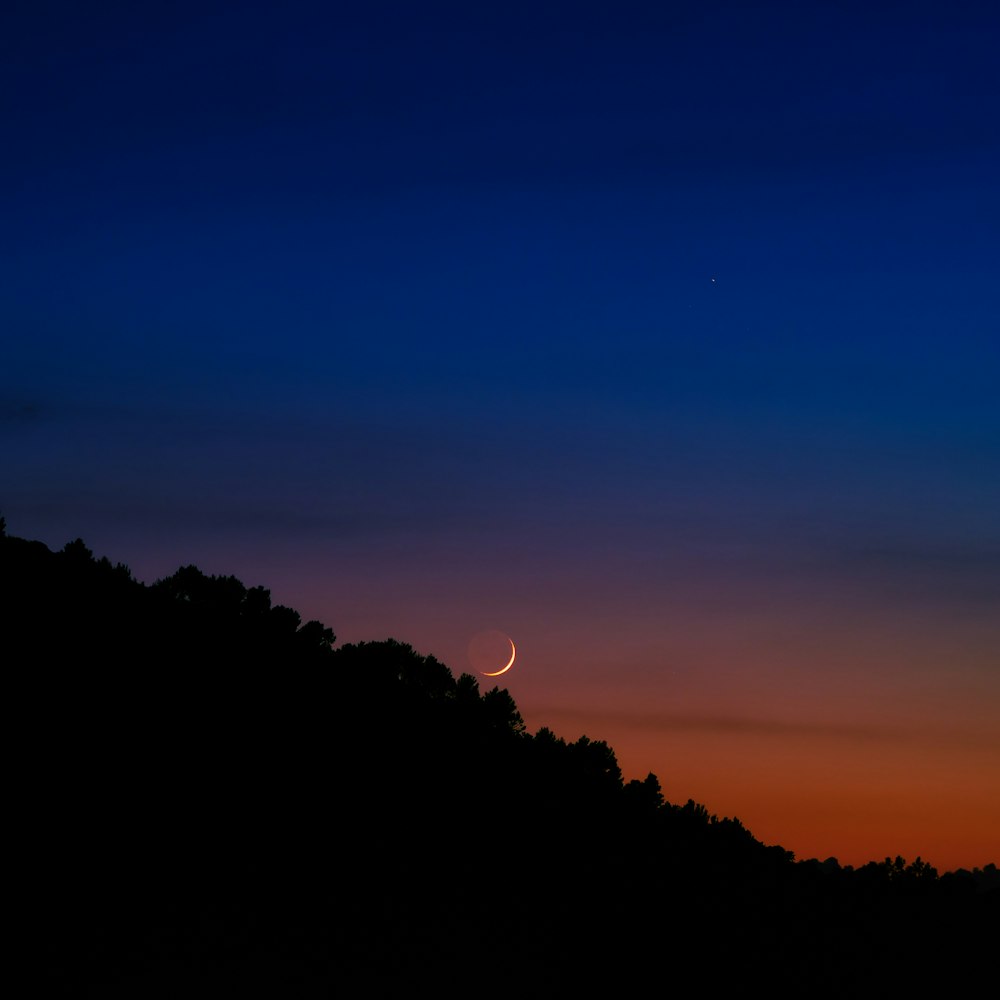 a sunset over a forest