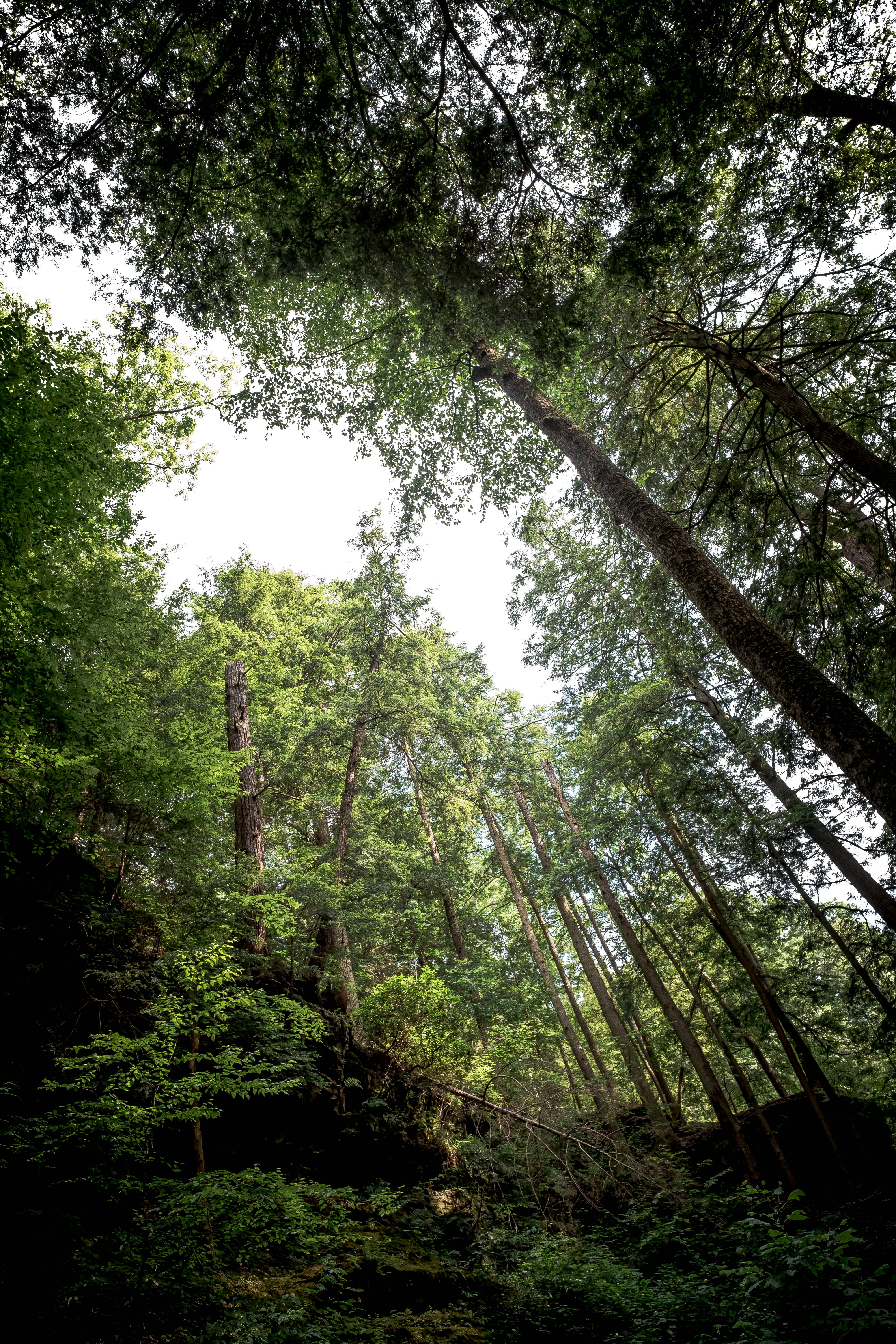 Photo by lanceanderson