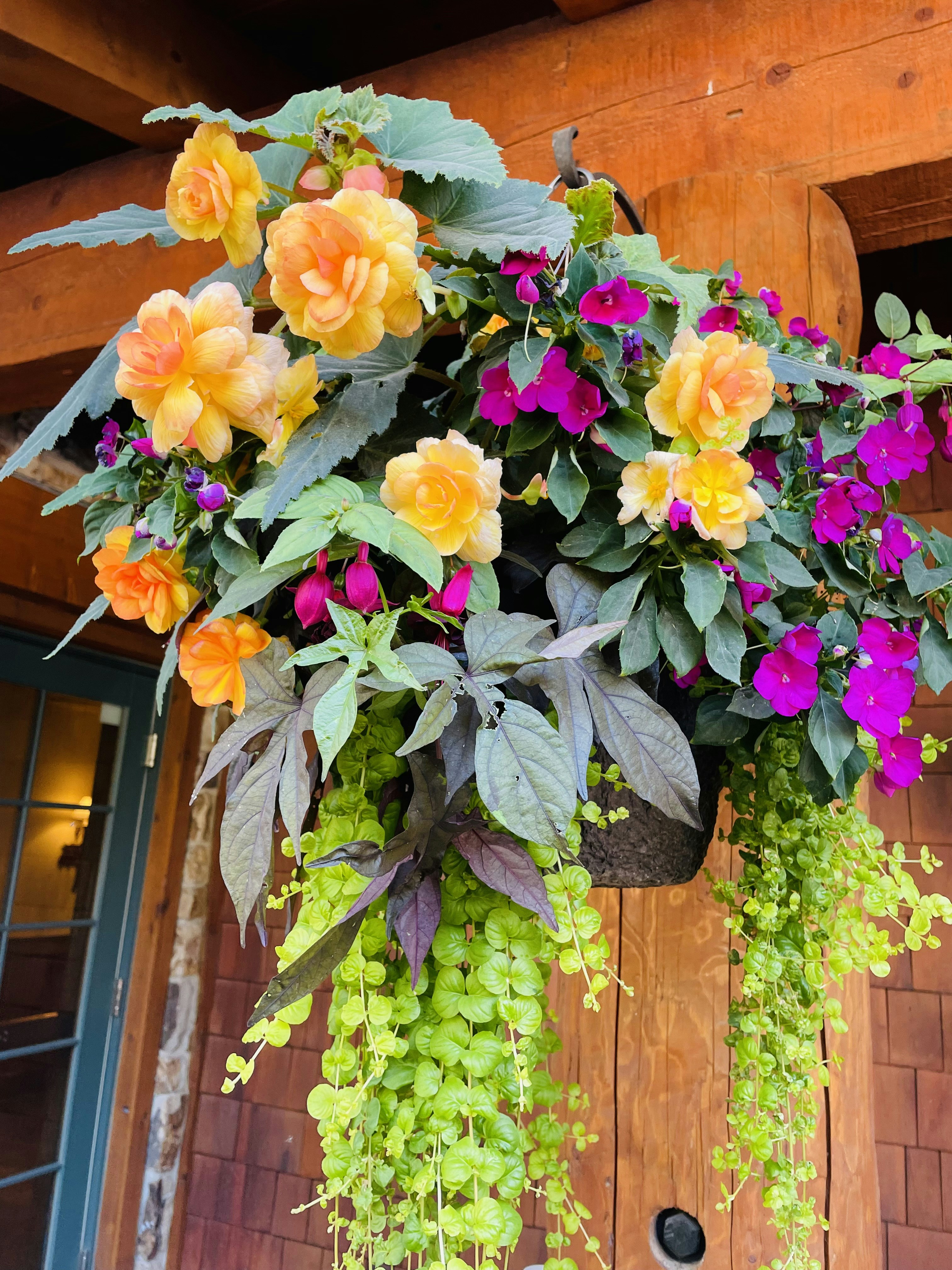 Container gardening for small spaces - Hanging basket full of colorful flowers