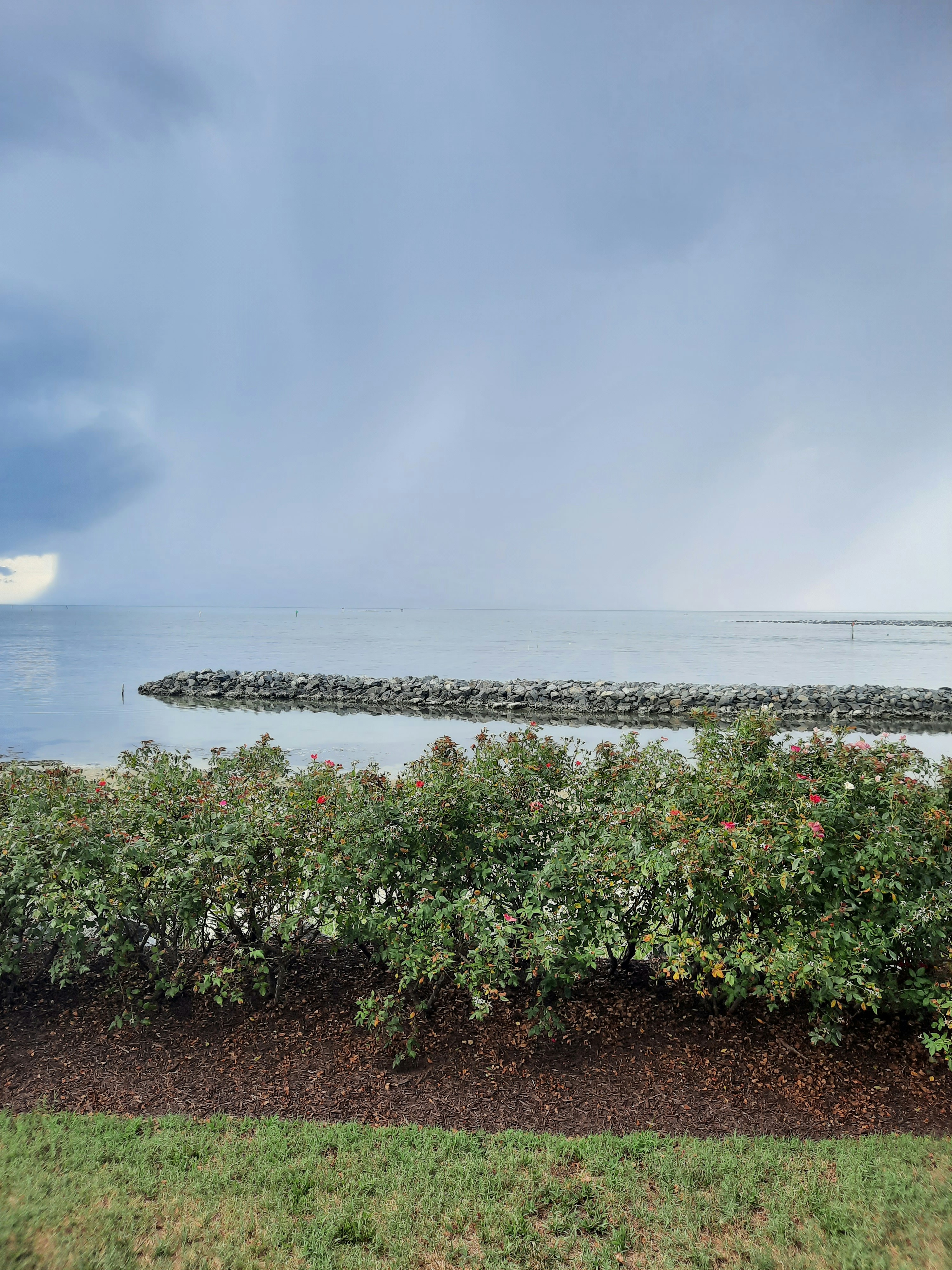 Photo by spydermarketingco