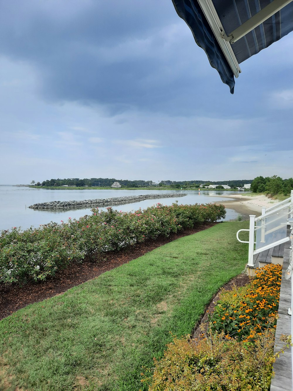 a garden next to a body of water