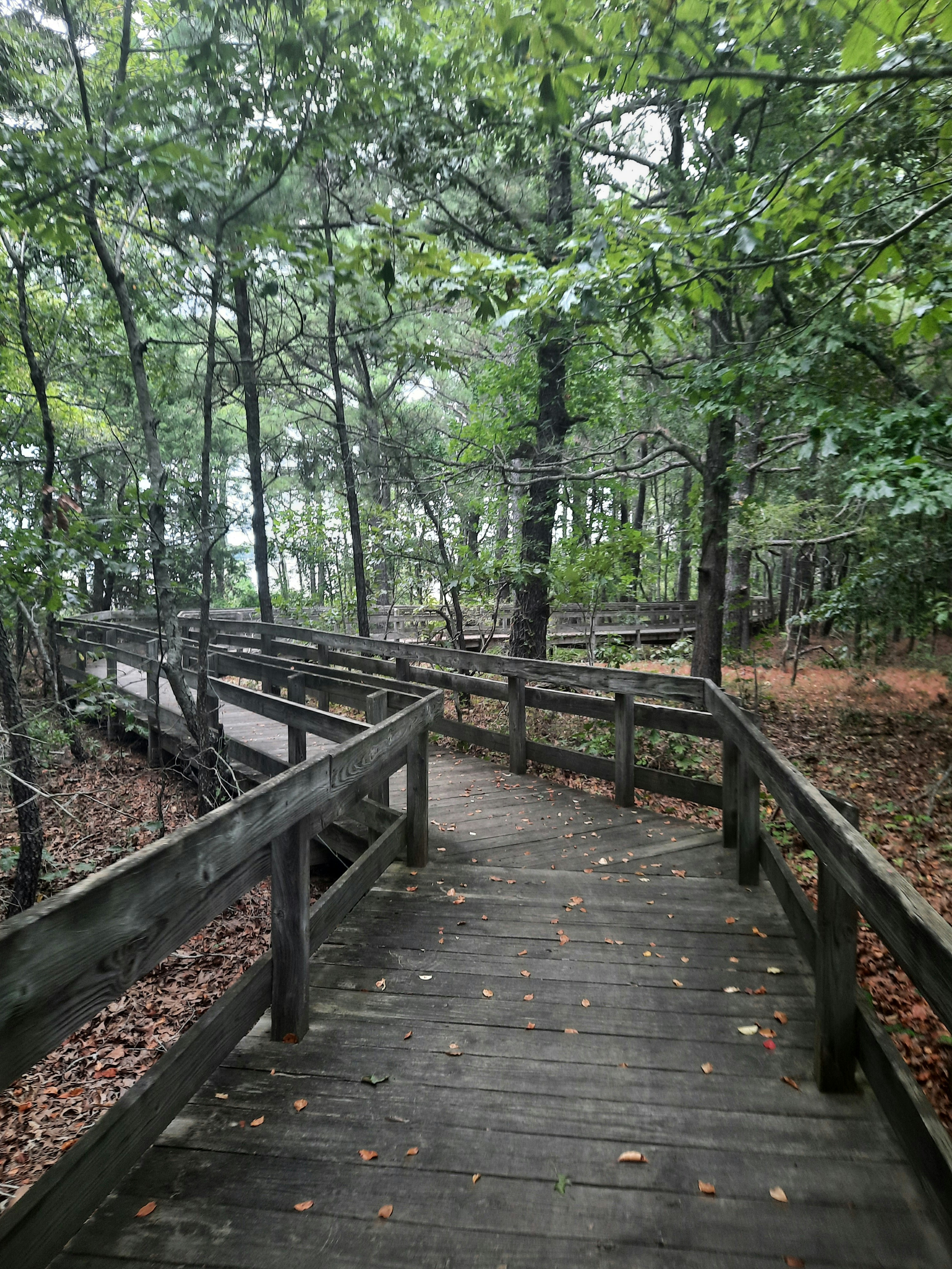 Photo by spydermarketingco