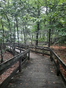 a wooden bridge in a forest