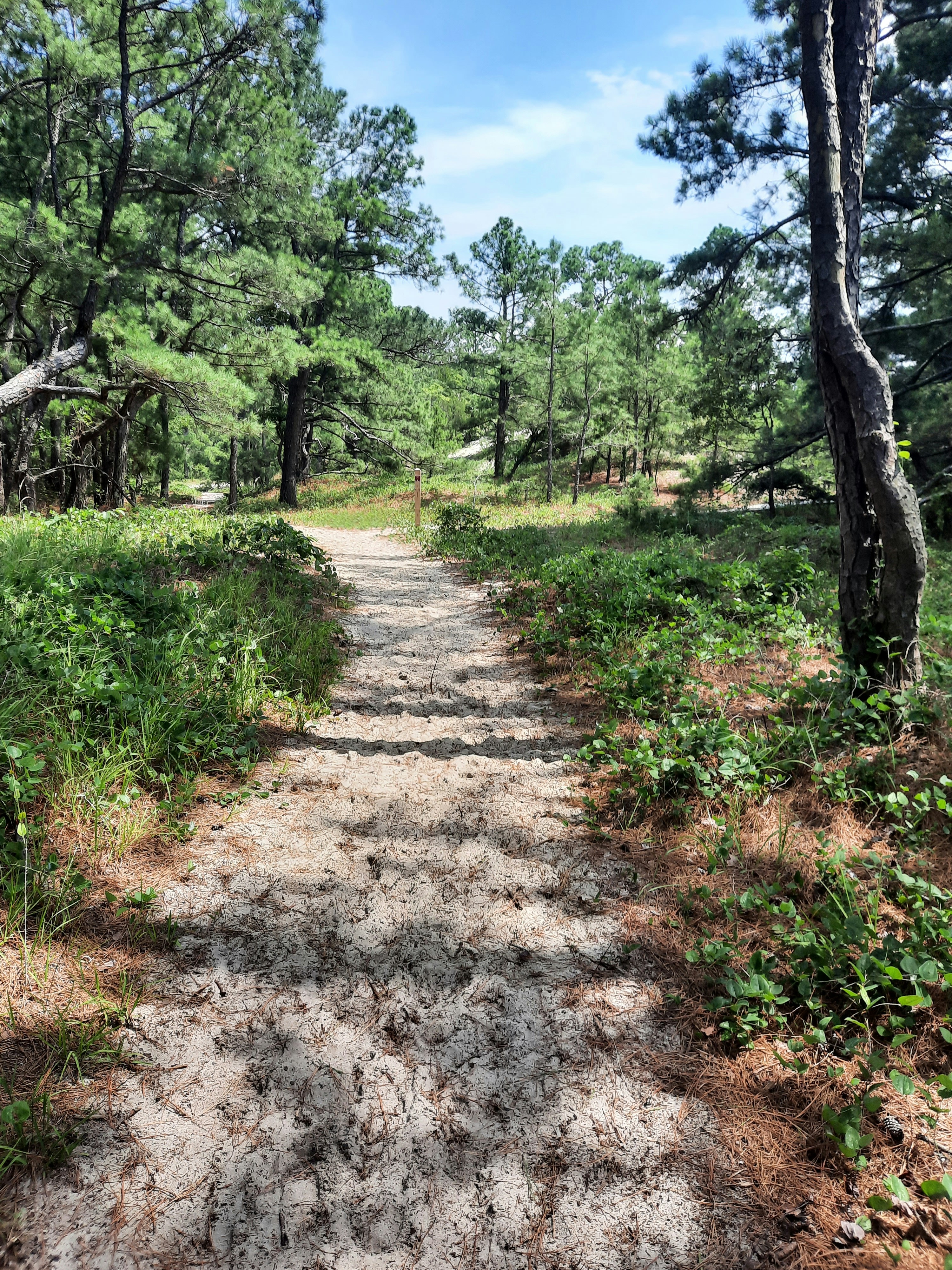 Photo by spydermarketingco