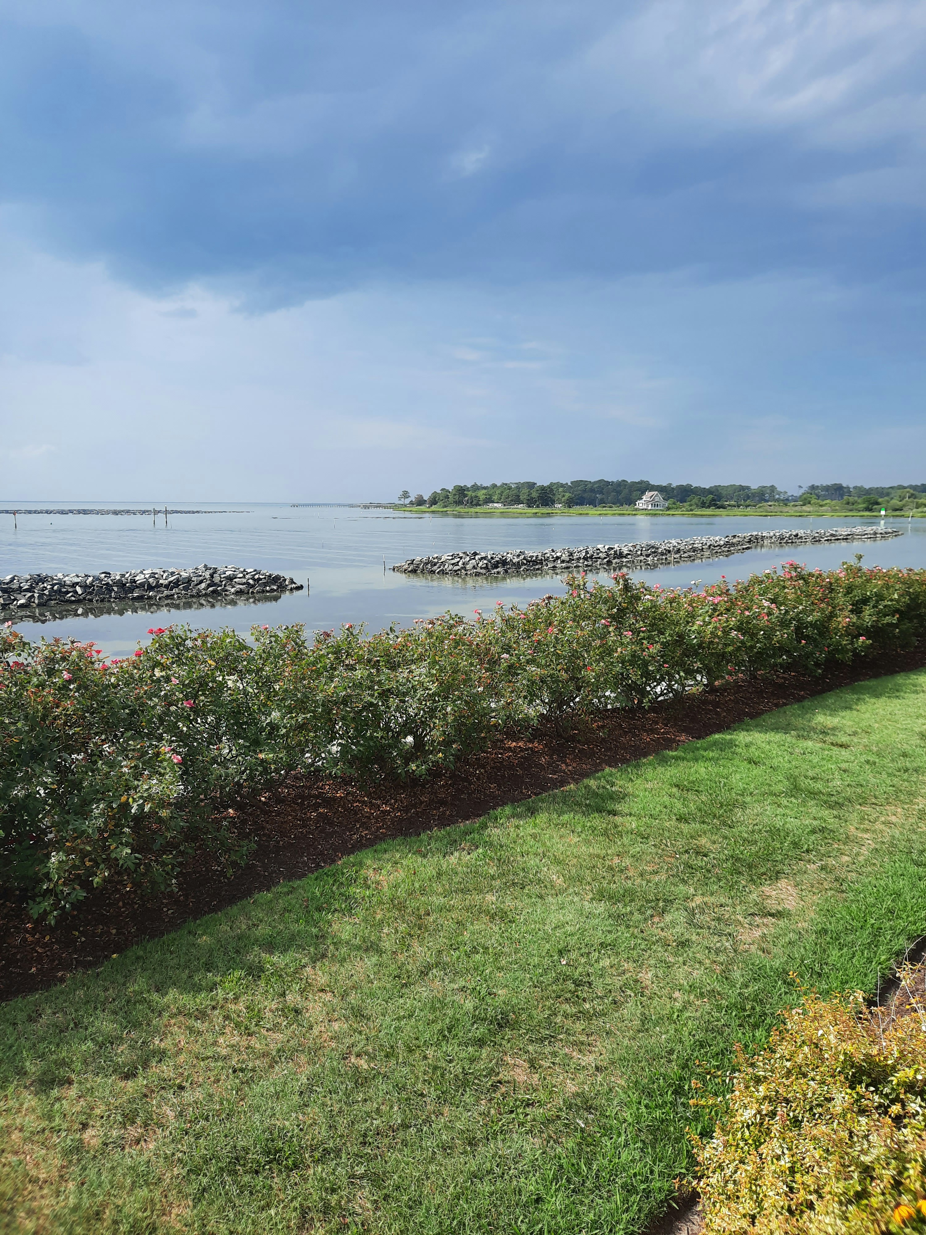 Taiwanese Oyster Omelet Recipe