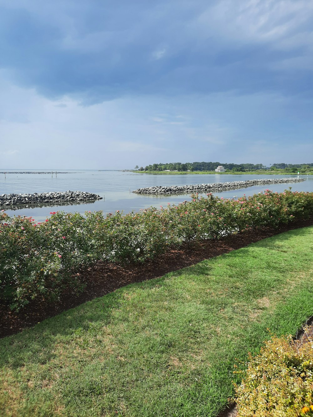 a grassy area with water in the background