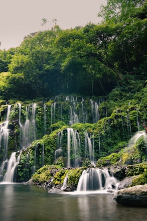 A vibrant waterfall cascading into a crystal-clear pool surrounded by lush greenery.